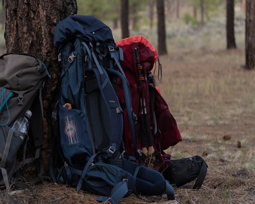 Camping backpack leaning against a tree